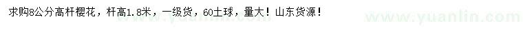 求購8公分高桿櫻花
