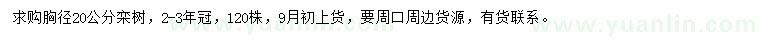 求購胸徑20公分欒樹