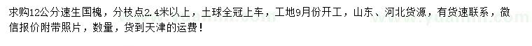 求購(gòu)12公分速生國(guó)槐