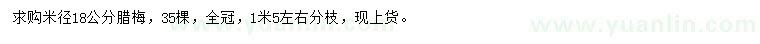 求購(gòu)米徑18公分臘梅