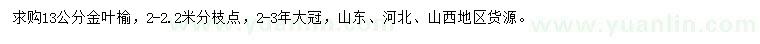 求購13公分金葉榆