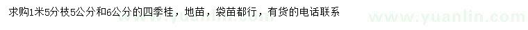 求購(gòu)5、6公分四季桂