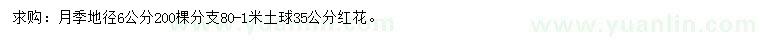 求購地徑6公分月季