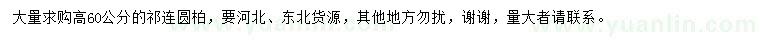求購高60公分祁連圓柏