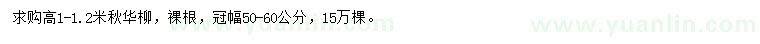 求購高1-1.2米秋華柳