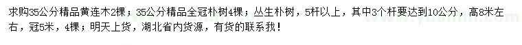 求購黃連木、樸樹、叢生樸樹