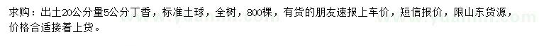 求購20量5公分丁香
