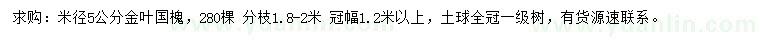 求購米徑5公分國槐
