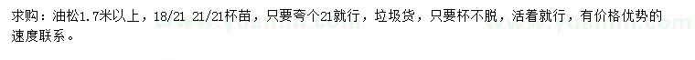 求購1.7米以上油松