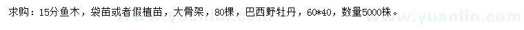 求購15分魚木、牡丹