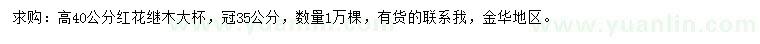 求購(gòu)高40公分紅花繼木
