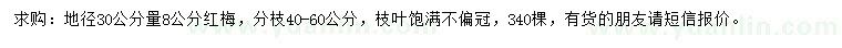 求購(gòu)地徑30量8公分紅梅