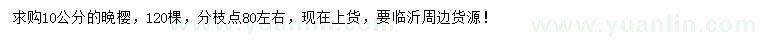 求購10公分晚櫻
