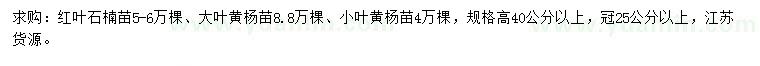 求購紅葉石楠、大葉黃楊、小葉黃楊