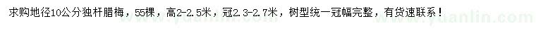 求購地徑10公分臘梅