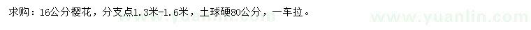求購16公分櫻花