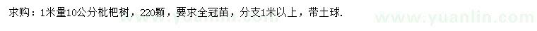 求購1米量10公分枇杷