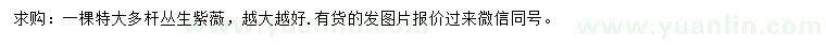 求購紫薇