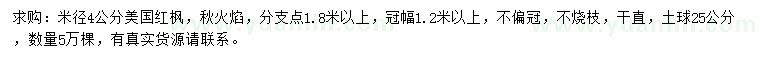 求購米徑4公分美國紅楓