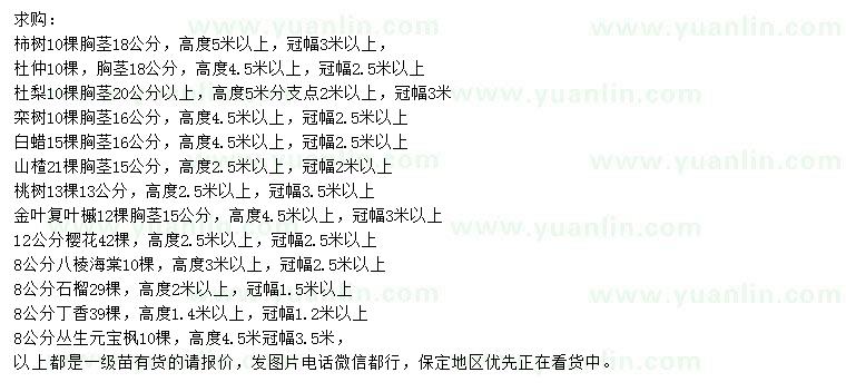 求購柿樹、杜仲、杜梨等