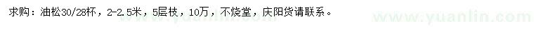 求購(gòu)2-2.5米油松