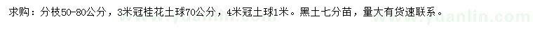 求購冠幅3、4米桂花
