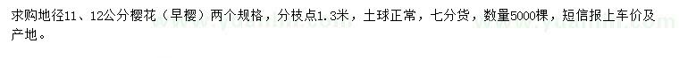 求購地徑11、12公分早櫻