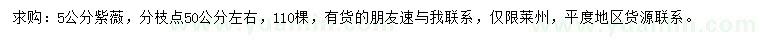 求購5公分紫薇