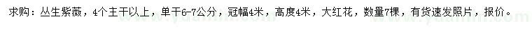 求購冠幅4米紫薇
