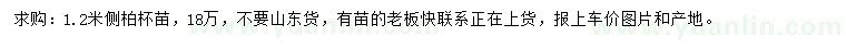 求購1.2米側(cè)柏