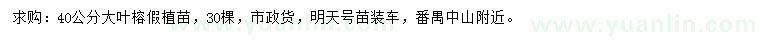 求購40公分大葉榕