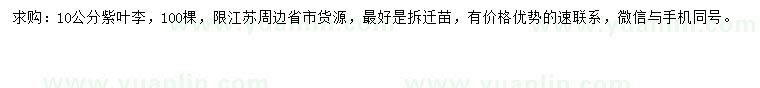 求購10公分紫葉李