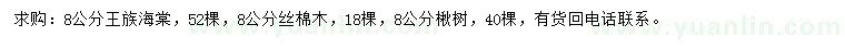 求購(gòu)?fù)踝搴Ｌ?、絲棉木、楸樹(shù)