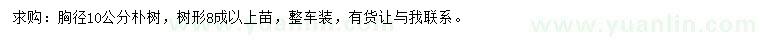求購胸徑10公分樸樹