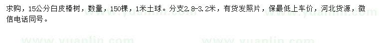 求購(gòu)15公分白皮椿