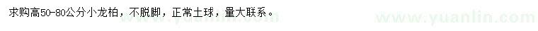 求購(gòu)高50-80公分小龍柏