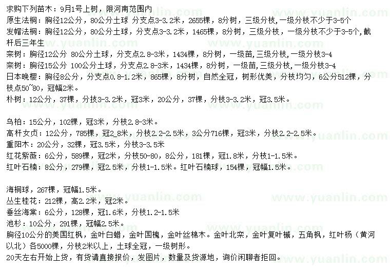 求購(gòu)法桐、欒樹(shù)、晚櫻等