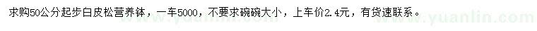 求購50公分起步白皮松