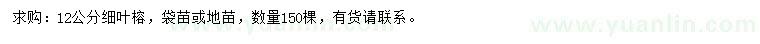 求購(gòu)12公分細(xì)葉榕