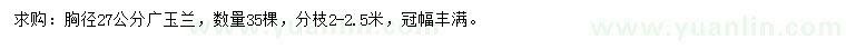 求購胸徑27公分廣玉蘭