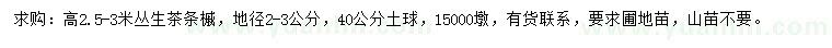求購高2.5-3米茶條槭
