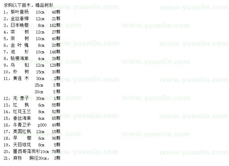 求購紫葉意楊、金絲垂柳、日本晚櫻等