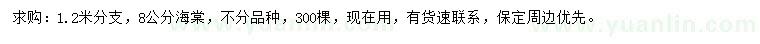 求購8公分海棠