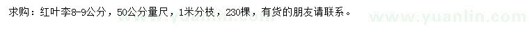 求購50量8-9公分紅葉李