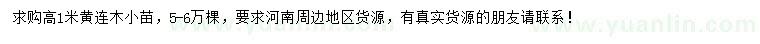 求購高1米黃連木小苗
