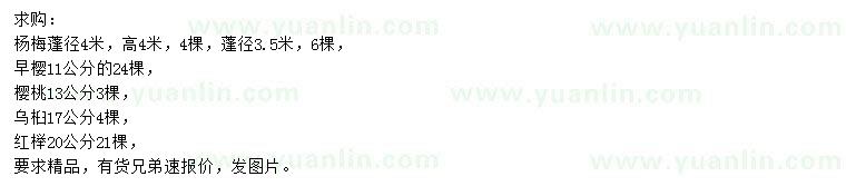 求購楊梅、早櫻、櫻桃等