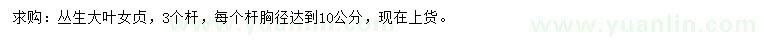 求購大葉女貞