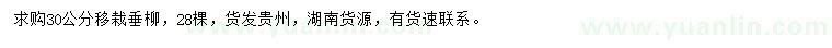求購30公分垂柳