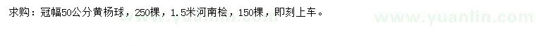 求購冠幅50公分黃楊、河南檜