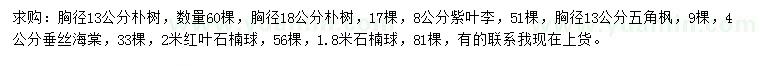 求購樸樹、紫葉李、五角楓等
